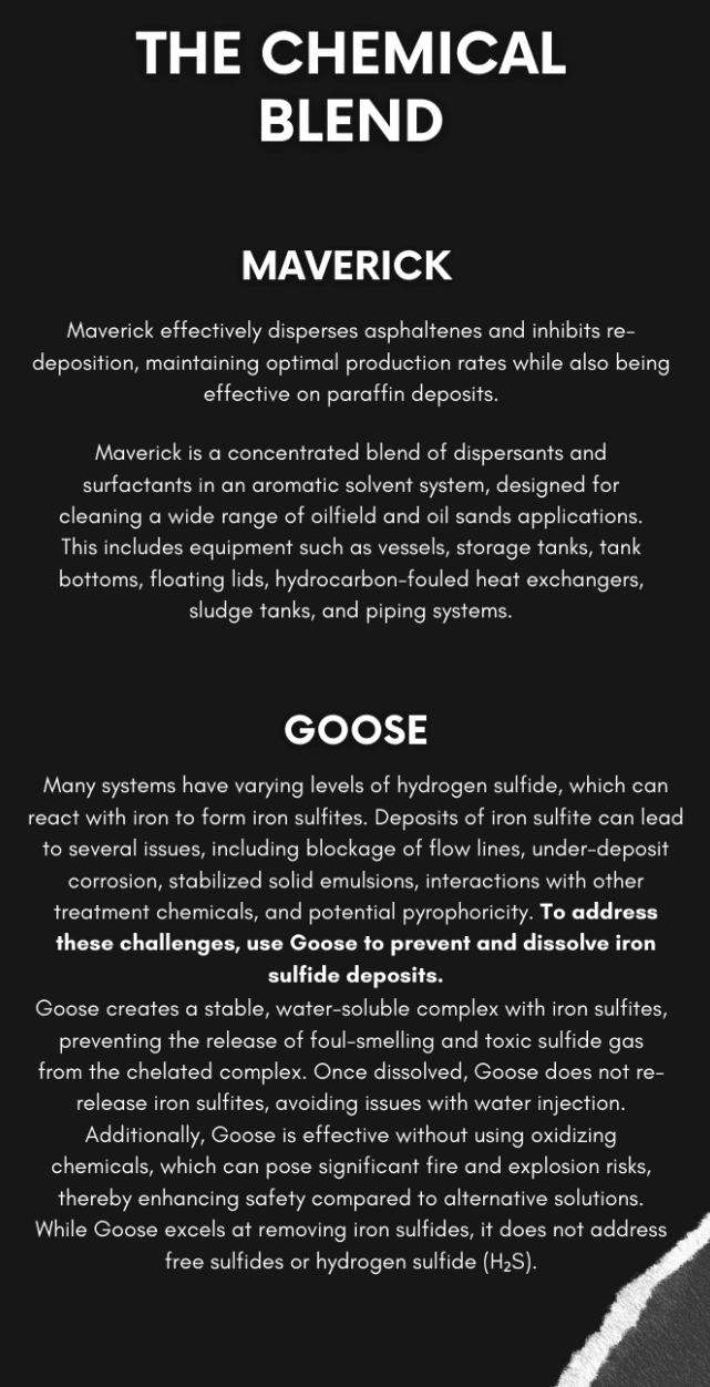 brochure pg 4